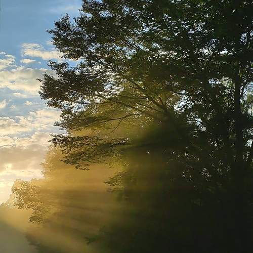 Photo #11292372