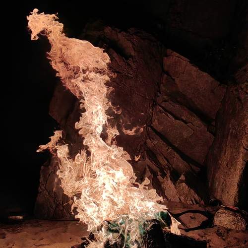 Photo #11292373