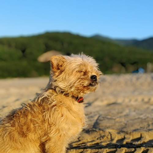 Photo #11292380