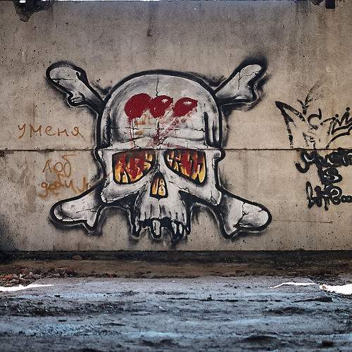Photo #11292451