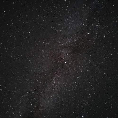 Photo #11292818