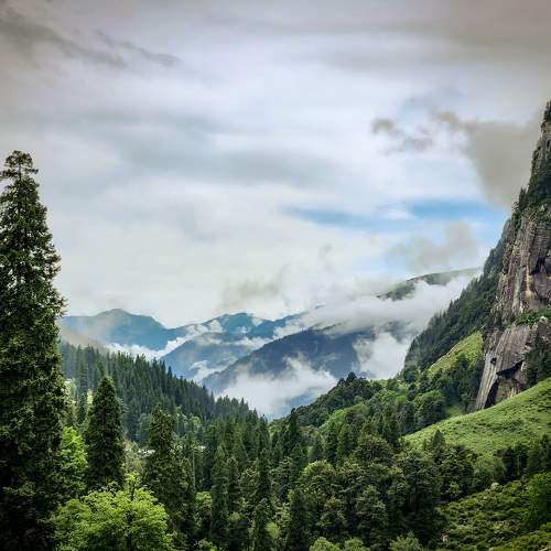 Photo #11293666