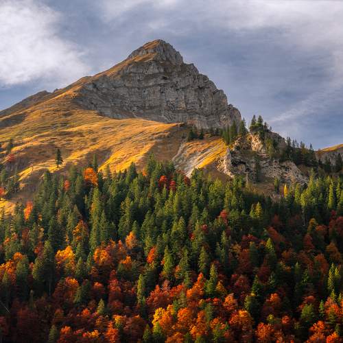 Alpine autumn