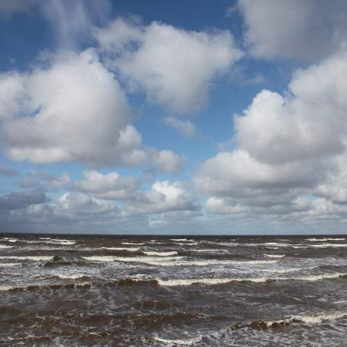 Photo #11294210
