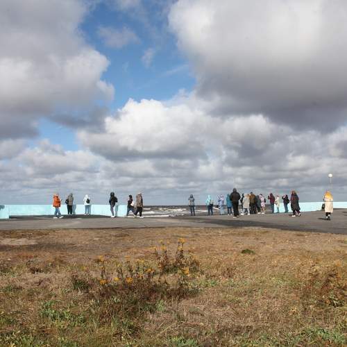 Photo #11294218