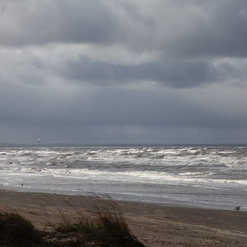Photo #11294221