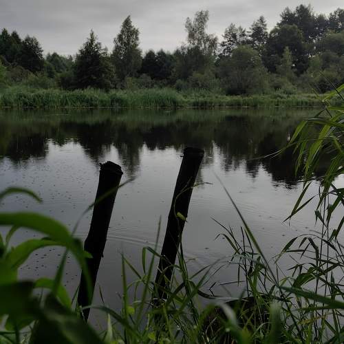 Photo #11294605