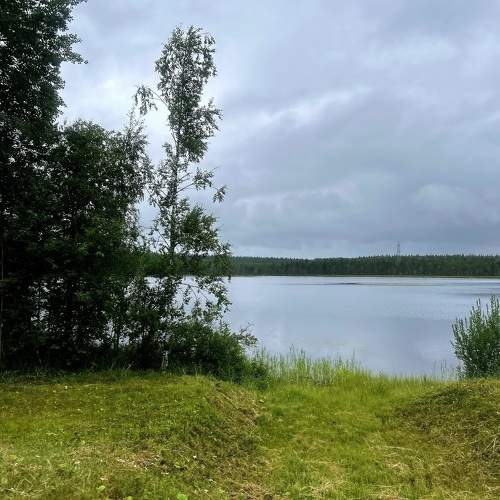 Photo #11294608