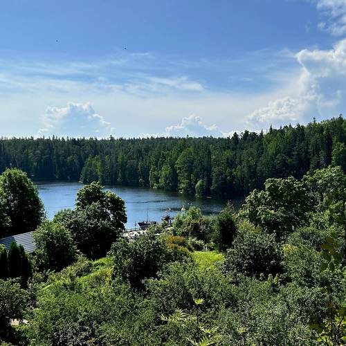Photo #11294619