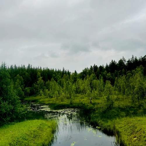 Photo #11294630