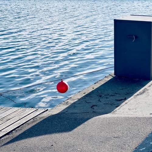 Photo #11294689