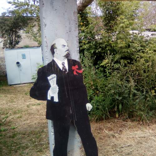 Photo #11295031