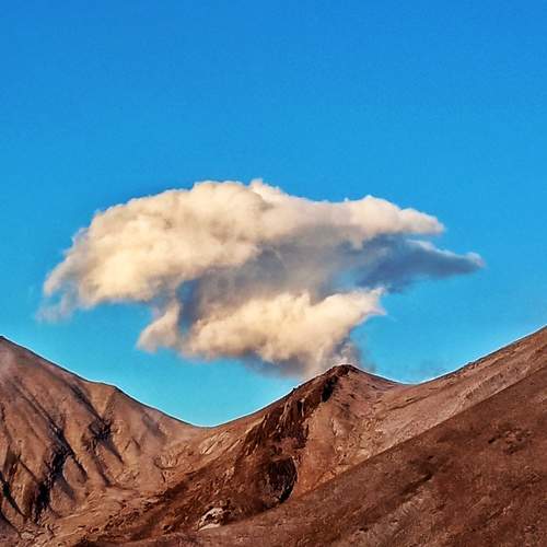 Photo #11295439