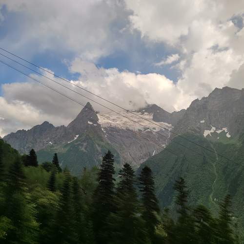 Photo #11295777