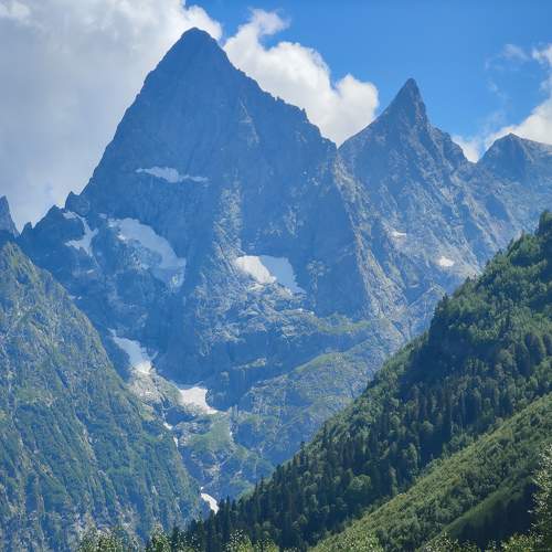 Photo #11295778