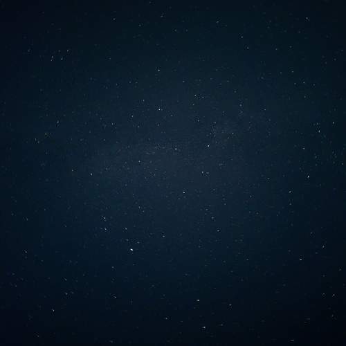 Photo #11295785