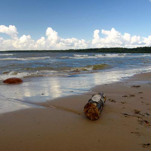 Photo #11295876