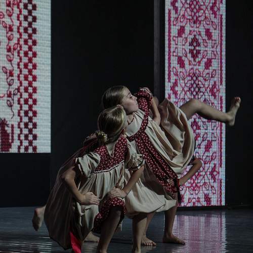 Photo #11295993