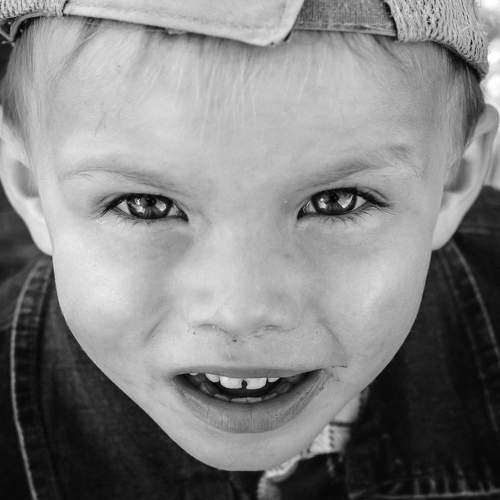 Photo #11296731