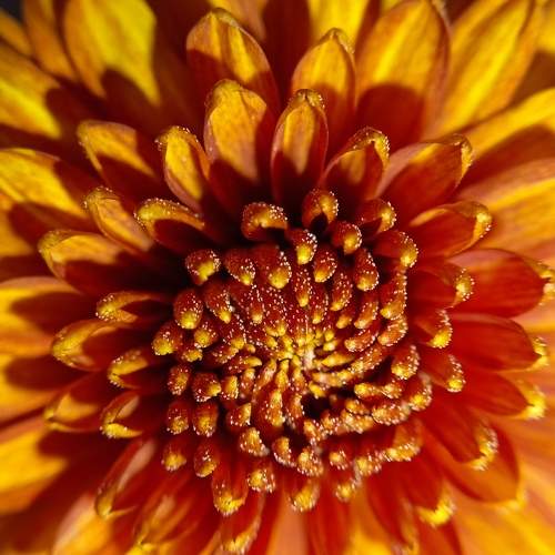 Photo #11297002