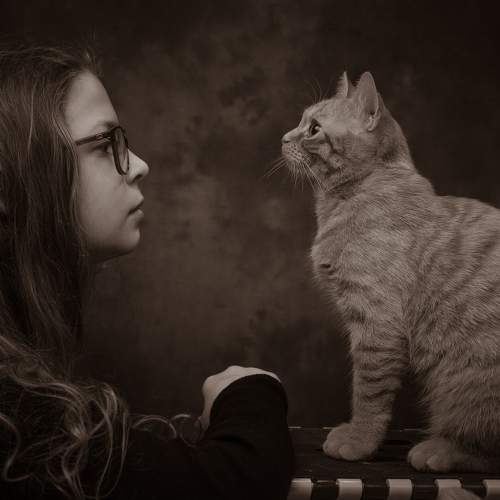 Photo #11297027