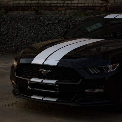 Photo #11297123
