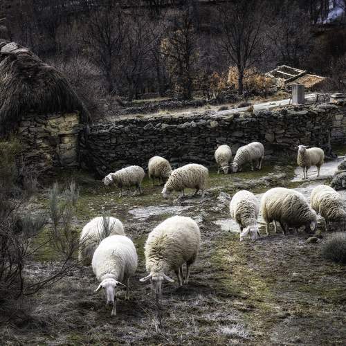 Photo #11297178