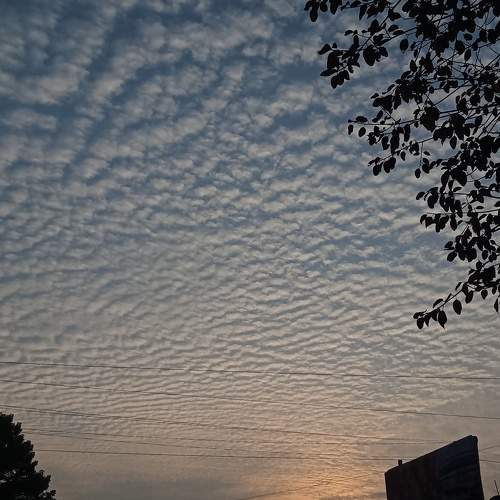 Photo #11297541