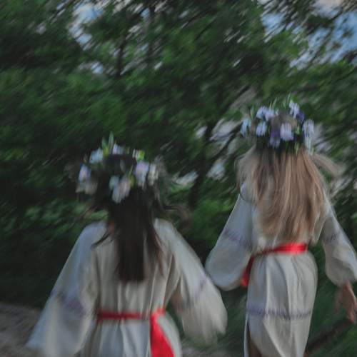 Photo #11297684
