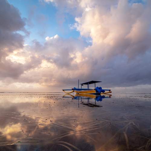 Photo #11297780
