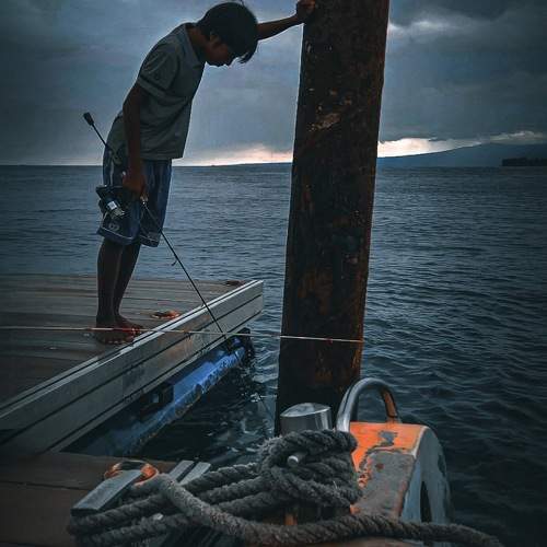 Photo #11297955