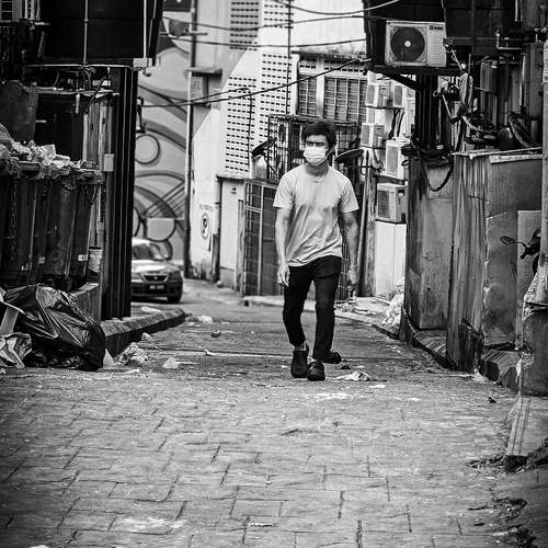 Photo #11298023
