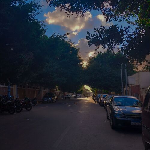 Photo #11298102