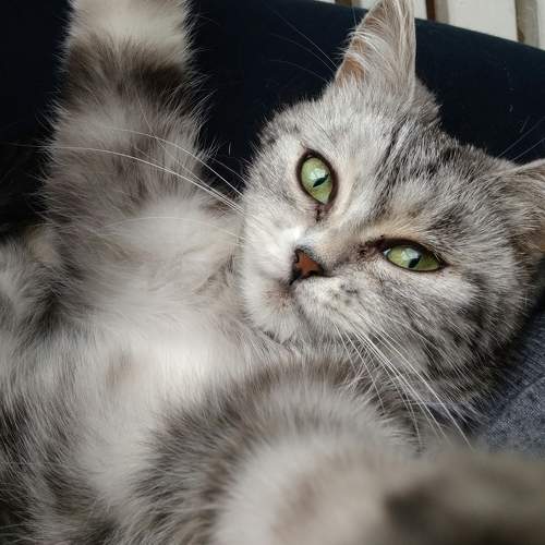 Photo #11298134