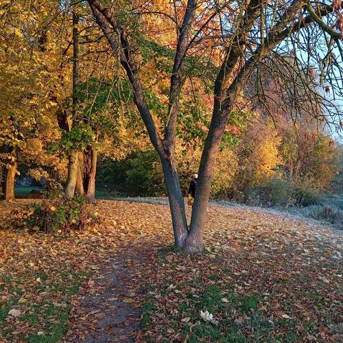 Photo #11298341