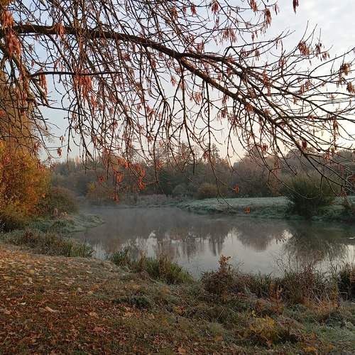 Photo #11298346