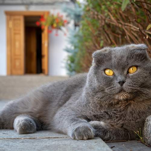 Photo #11298453