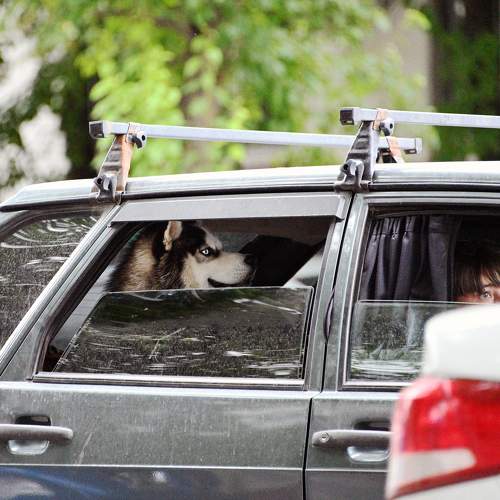 Photo #11298768