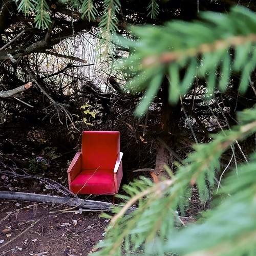 Photo #11298875