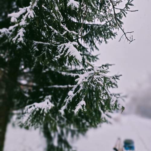 Photo #11299497