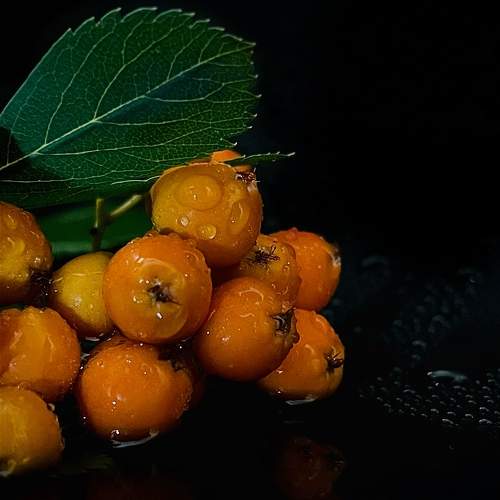 Photo #11299695
