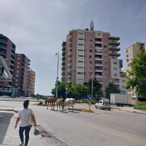 Photo #11299815