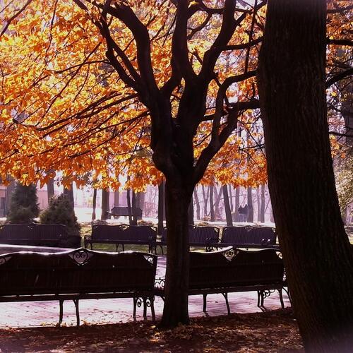 Photo #1130334