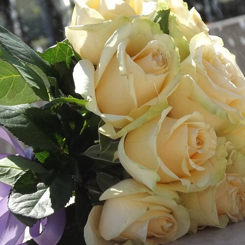 Photo #1130339