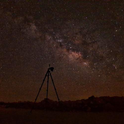 Photo #11300399