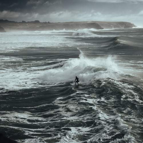 Photo #11300500