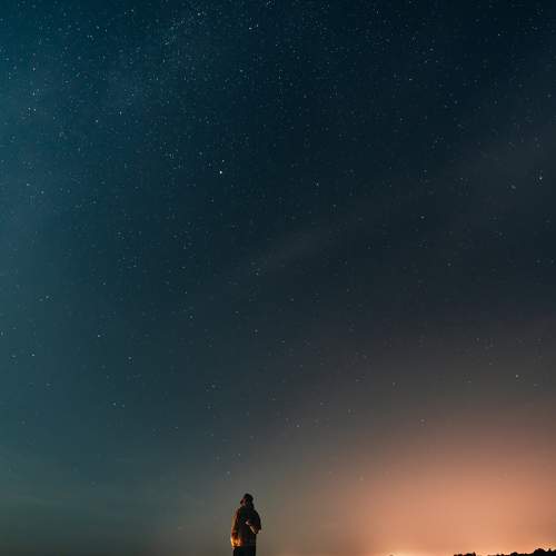 Photo #11300782