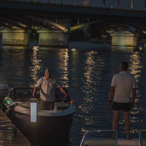 Photo #11300813
