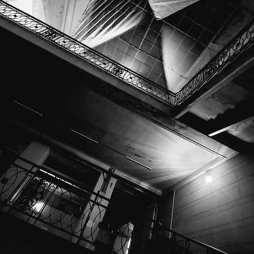 Photo #11300989