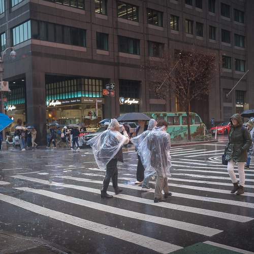 Photo #11301020